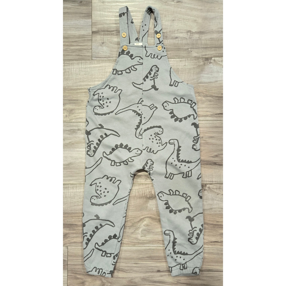 Gray Dinosaur Print Kids Overalls